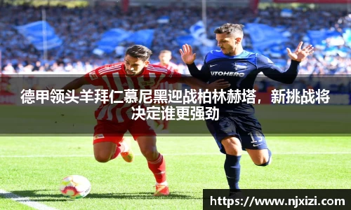 中欧体育