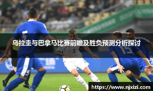 中欧体育