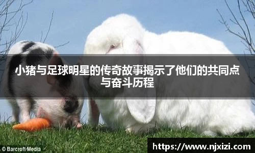 中欧体育官方网站